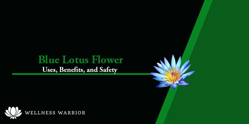 Blue Lotus flower: uses, advantages and security