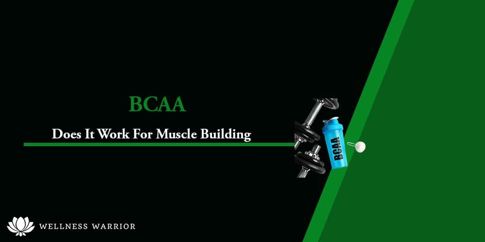 Build branched chain amino acids muscles?