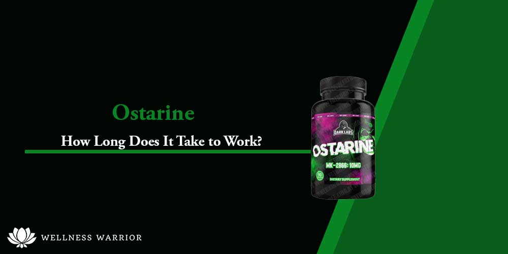 How long does Ostarine take to work?